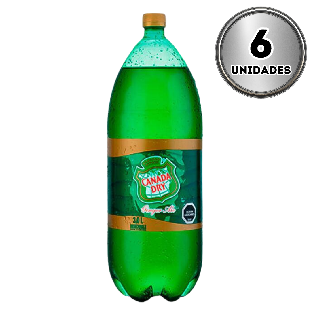 Canada Dry 3 litros desechable