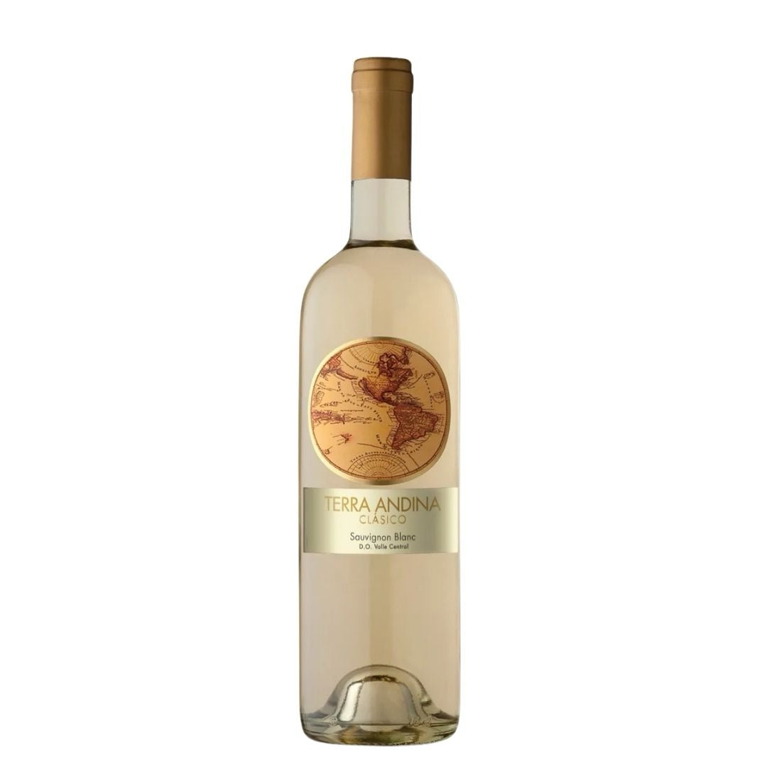 Vino Terra andina reserva Sauvignon blanc