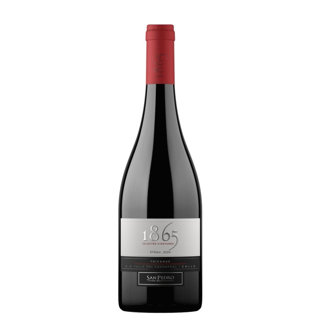 Vino 1865 Syrah