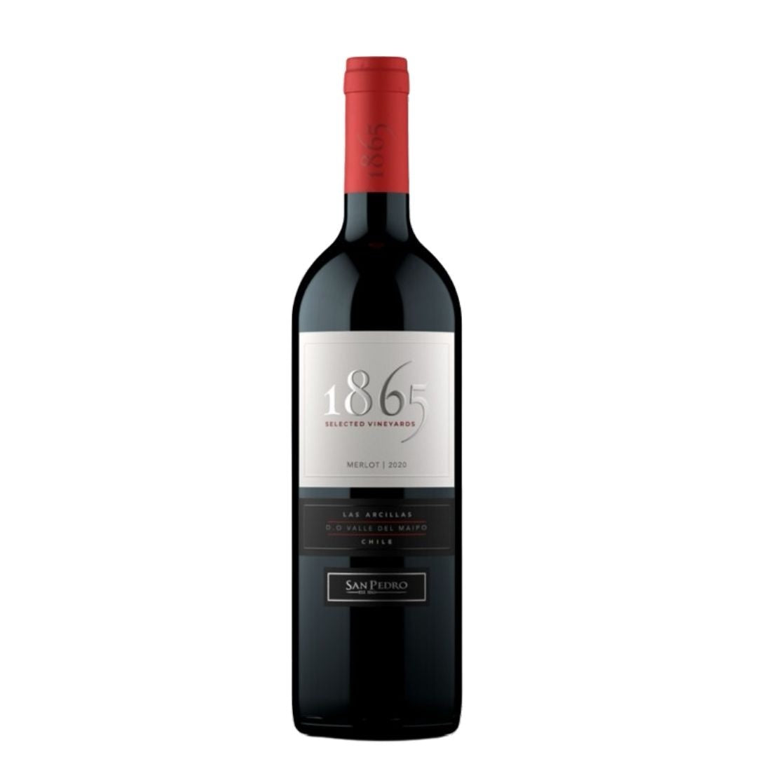 Vino 1865 Merlot