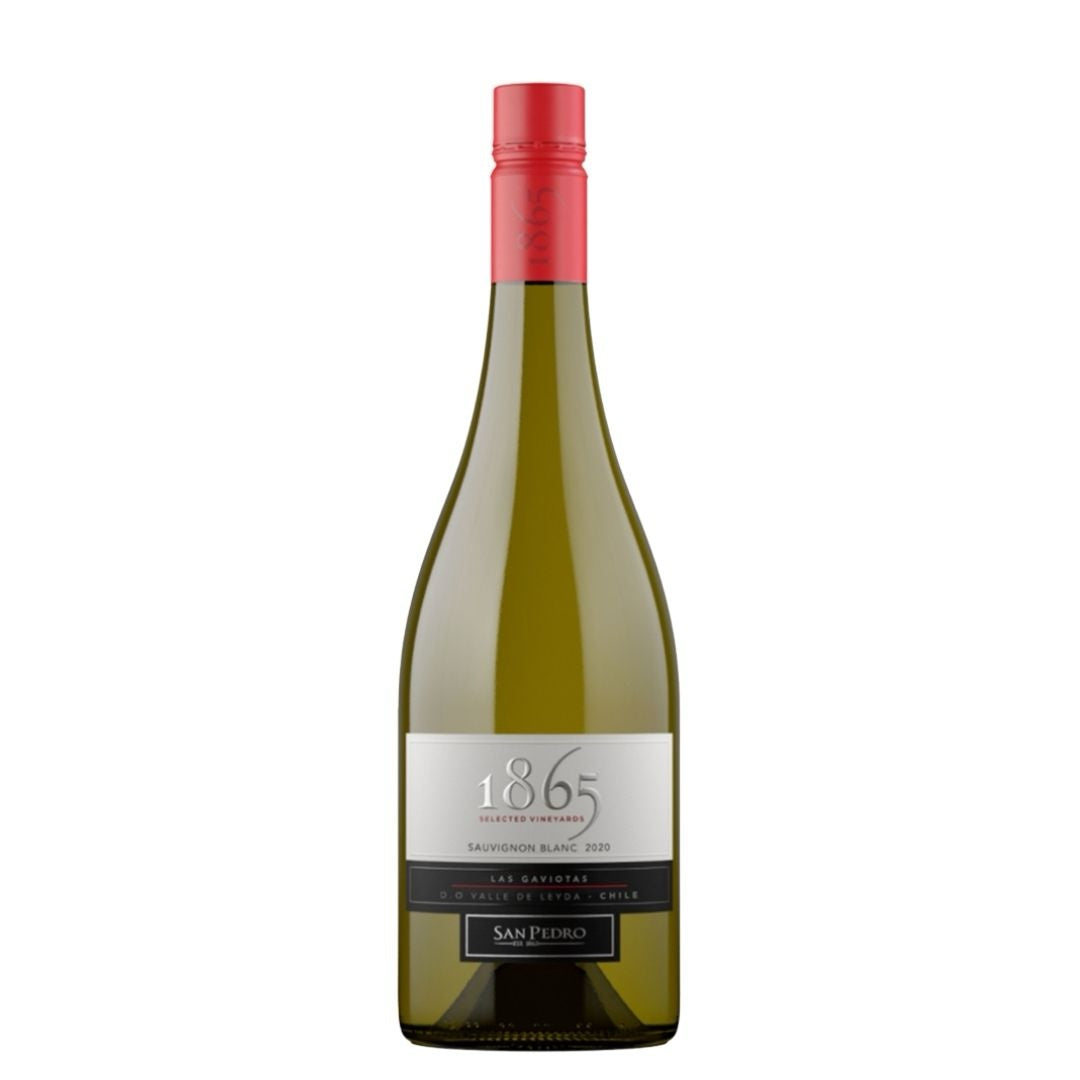 Vino 1865 saunvignon blanc